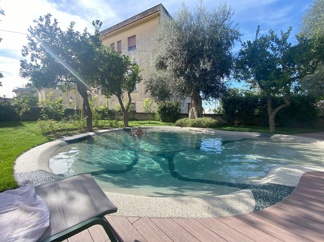 Unconventional Sorrento主图