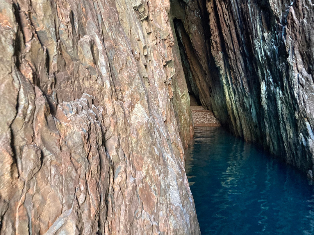 Le Pass Partout-Porto必去景点