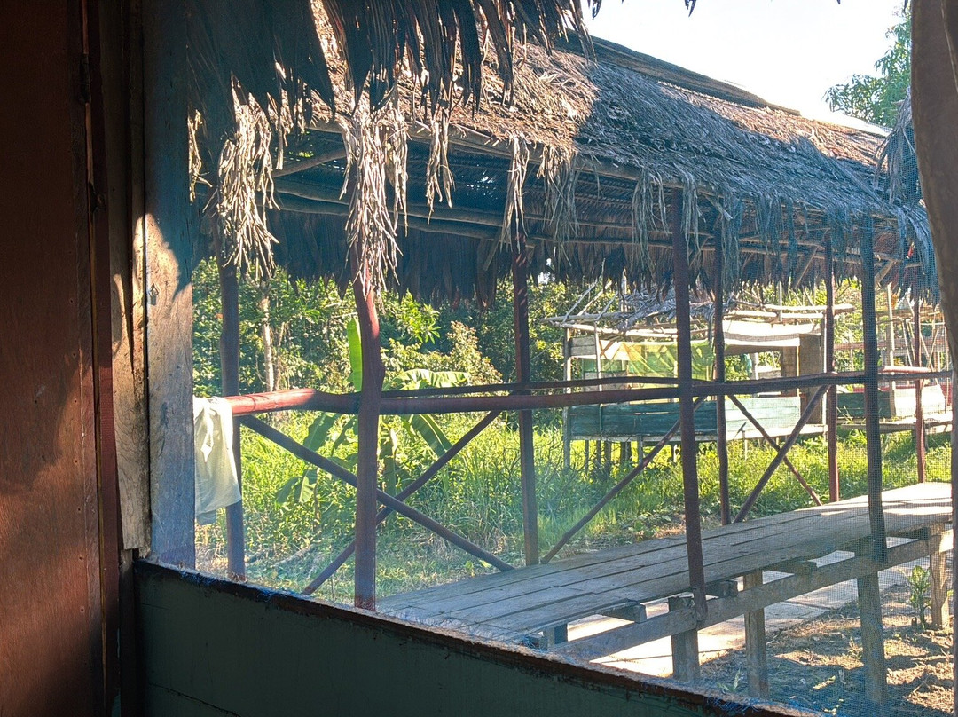 Amazonian Untamed Jungle Tours-伊基托斯必去景点