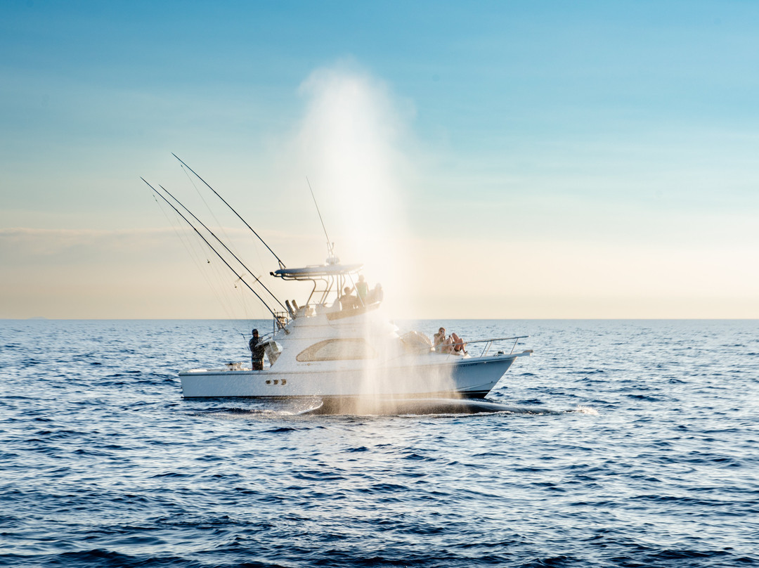 Kohala Divers-卡威哈也必去景点