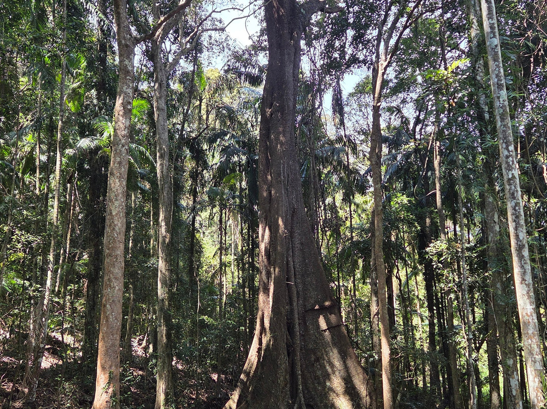 Gwinganna Lifestyle Retreat主图