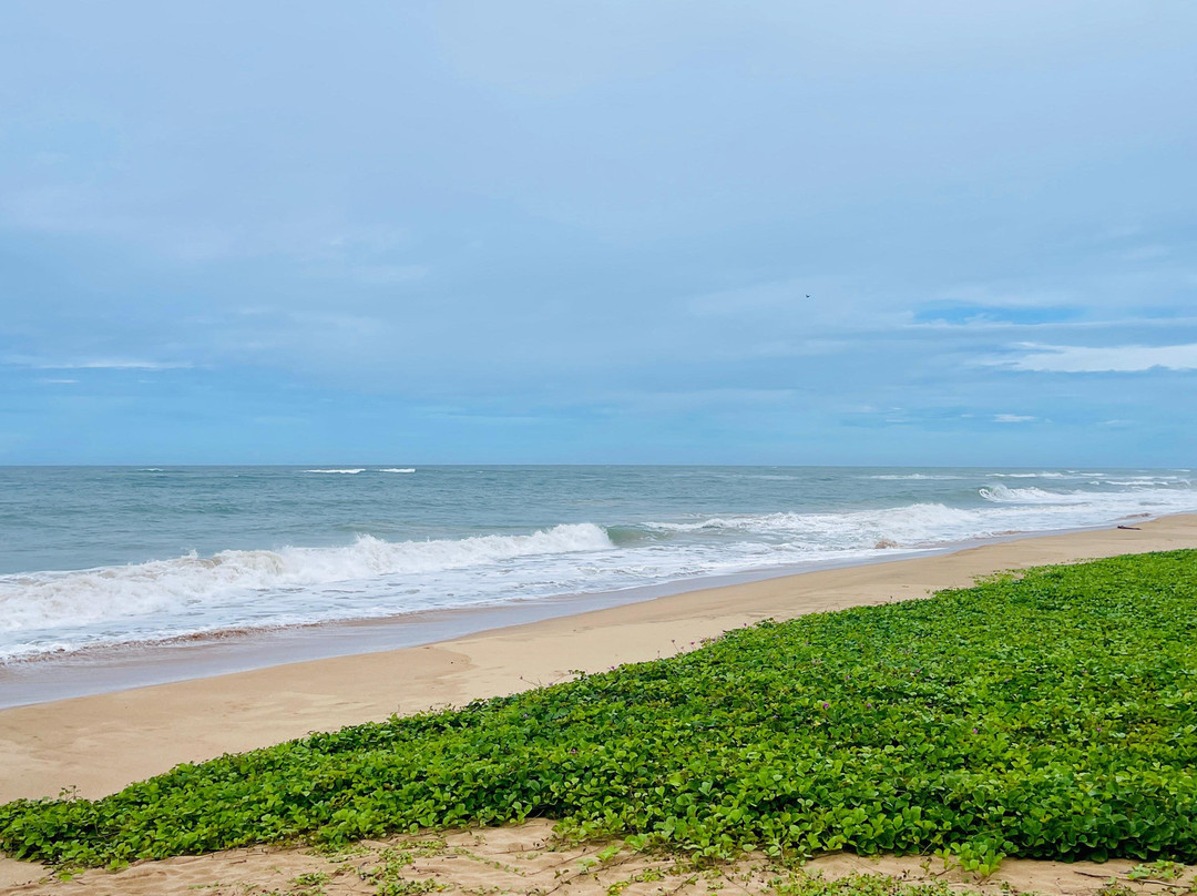 Nature Lanka Ayurveda Health Resort主图