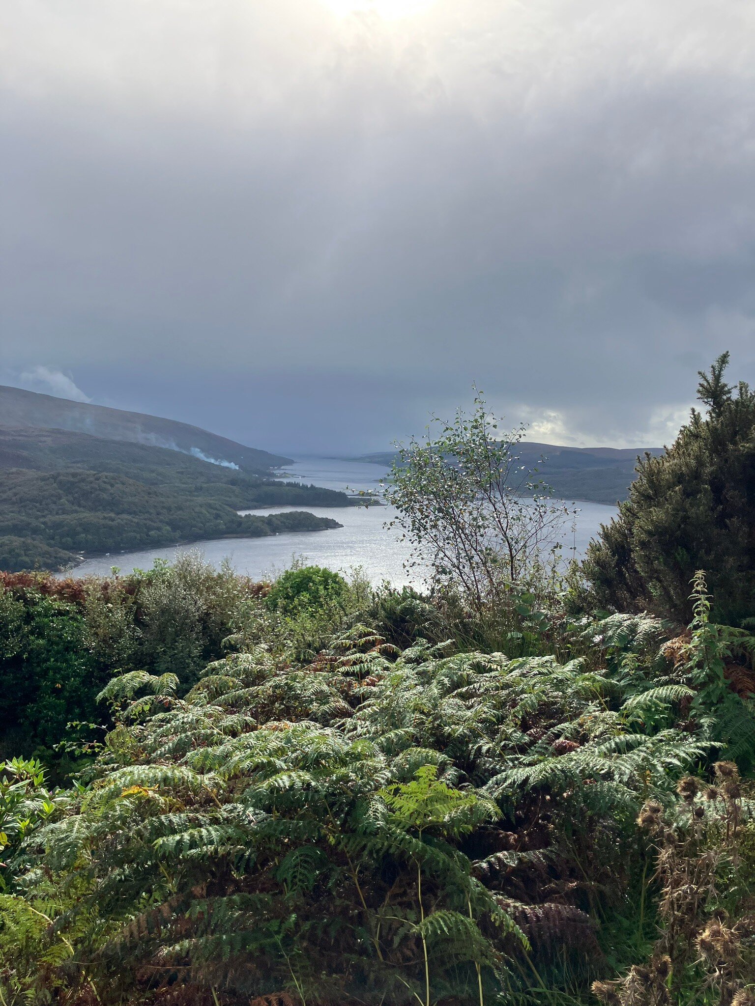 Highlander House-官方