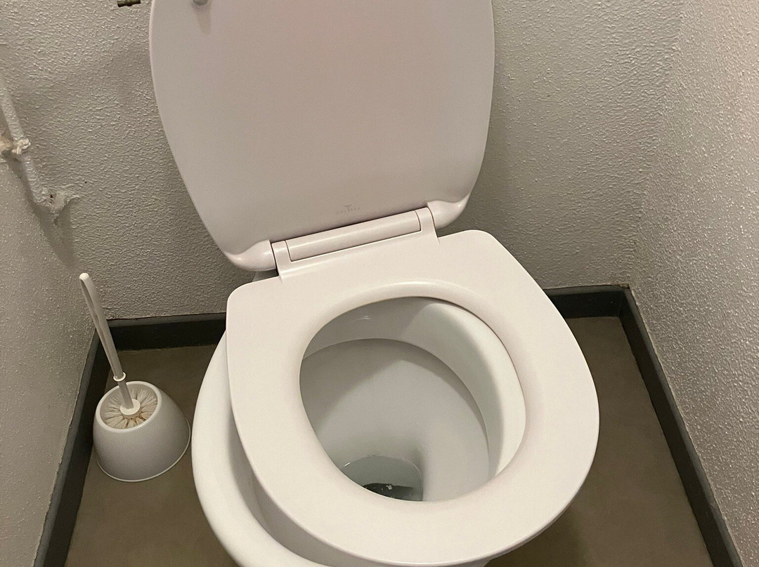 Nemea Appart'hotel Home Suite Nancy Centre主图