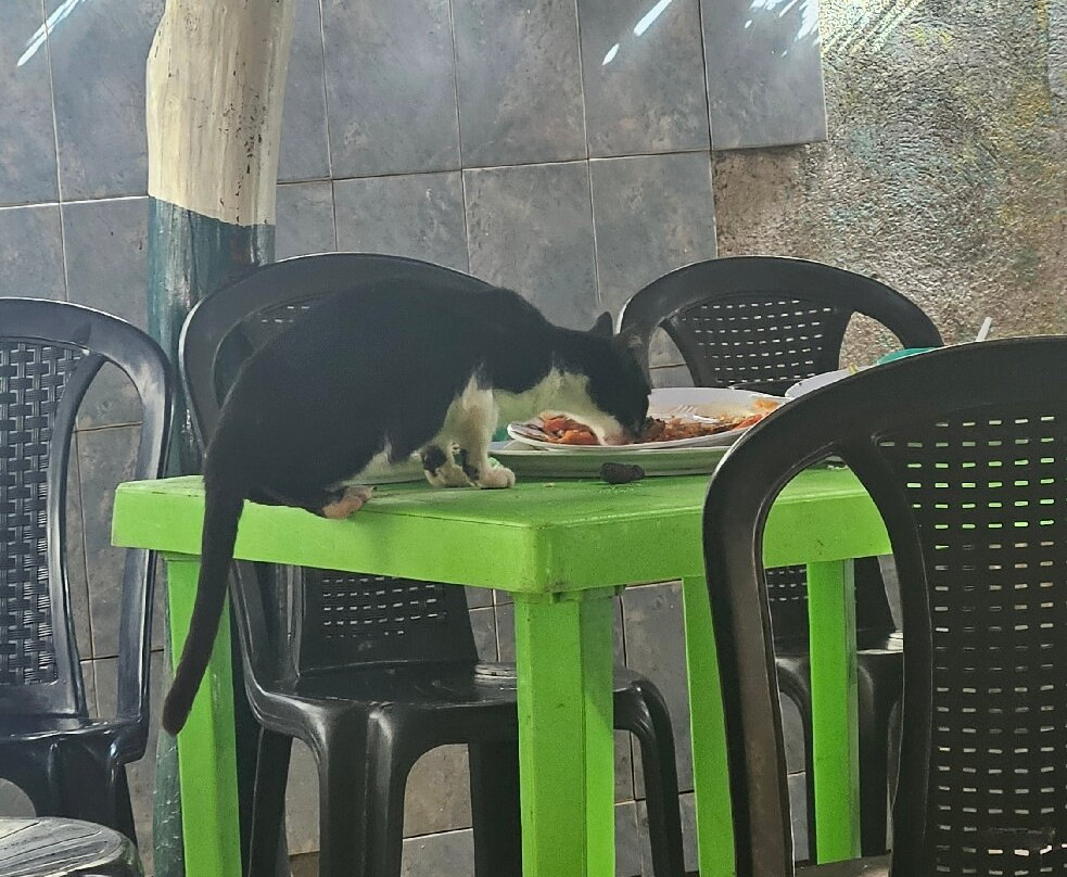 Playa Grande-位于塔甘加必去景点