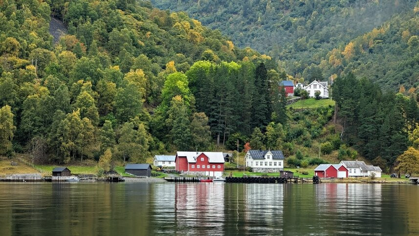 FjordSafari-弗洛姆必去景点