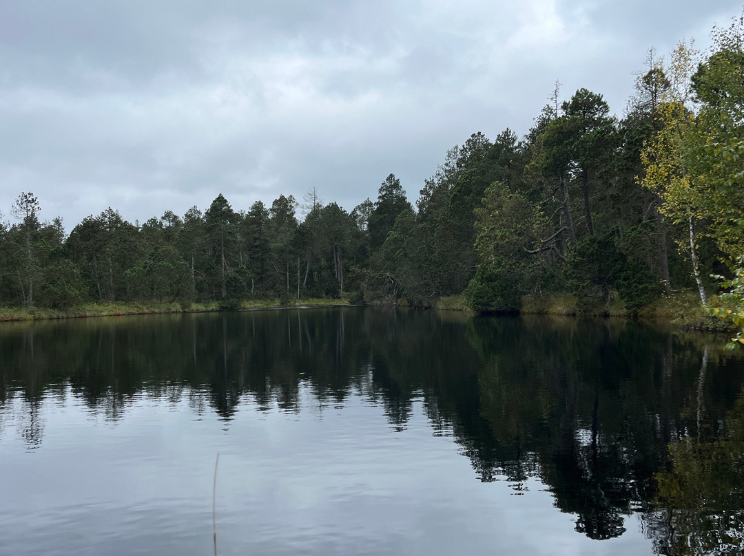 The nature trail. Rejvíz - Mechová jezírka-Zlate Hory必去景点