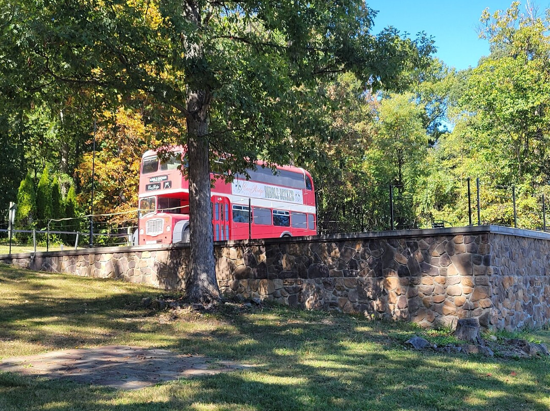 Cave Ridge Vineyard-Mount Jackson必去景点