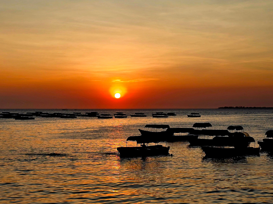 Spice Tree by Turaco主图