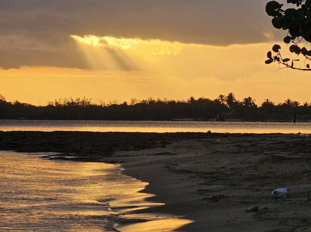 Playa Larga-Playa Larga必去景点