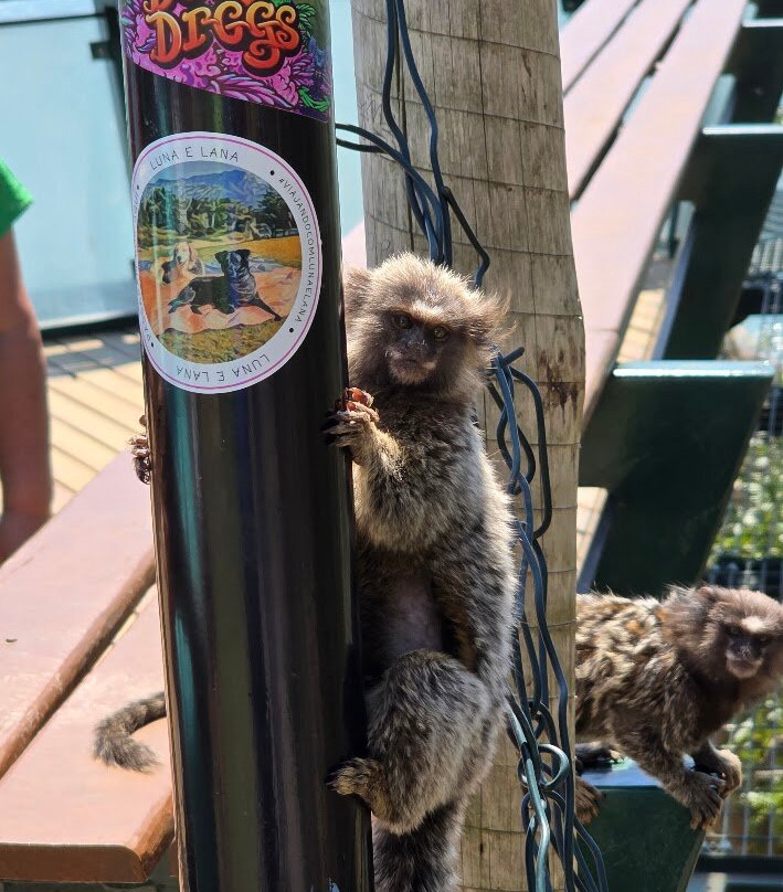 Mirante do Barreiro-伊利亚贝拉必去景点
