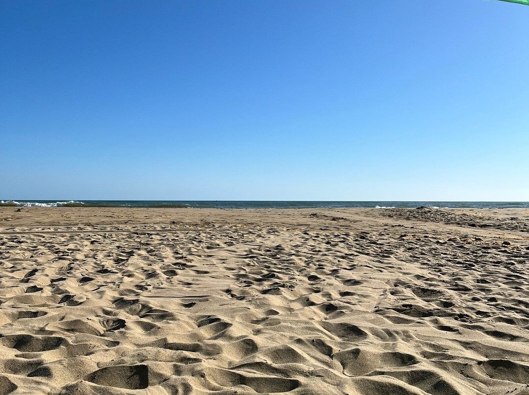 Playa De Isla Canela-Isla Canela必去景点