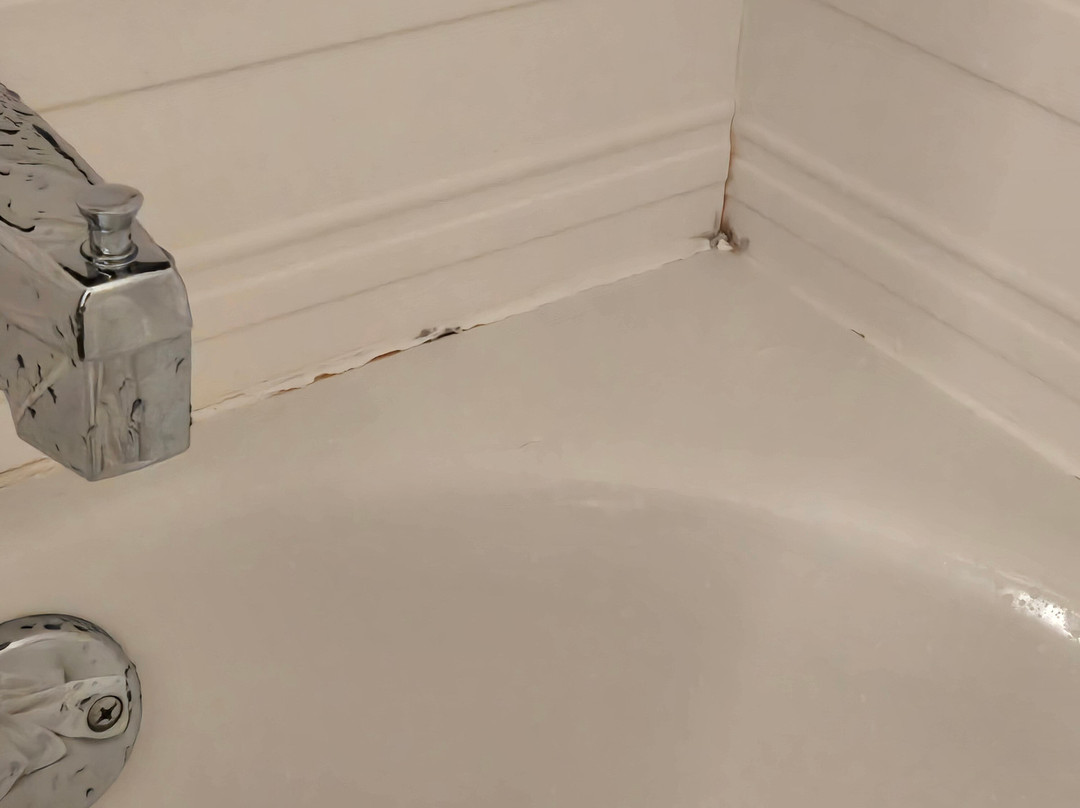 Best Western Eau Claire South主图