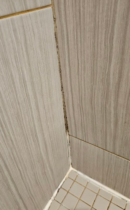 Days Inn By Wyndham Sudbury & Conference Centre主图