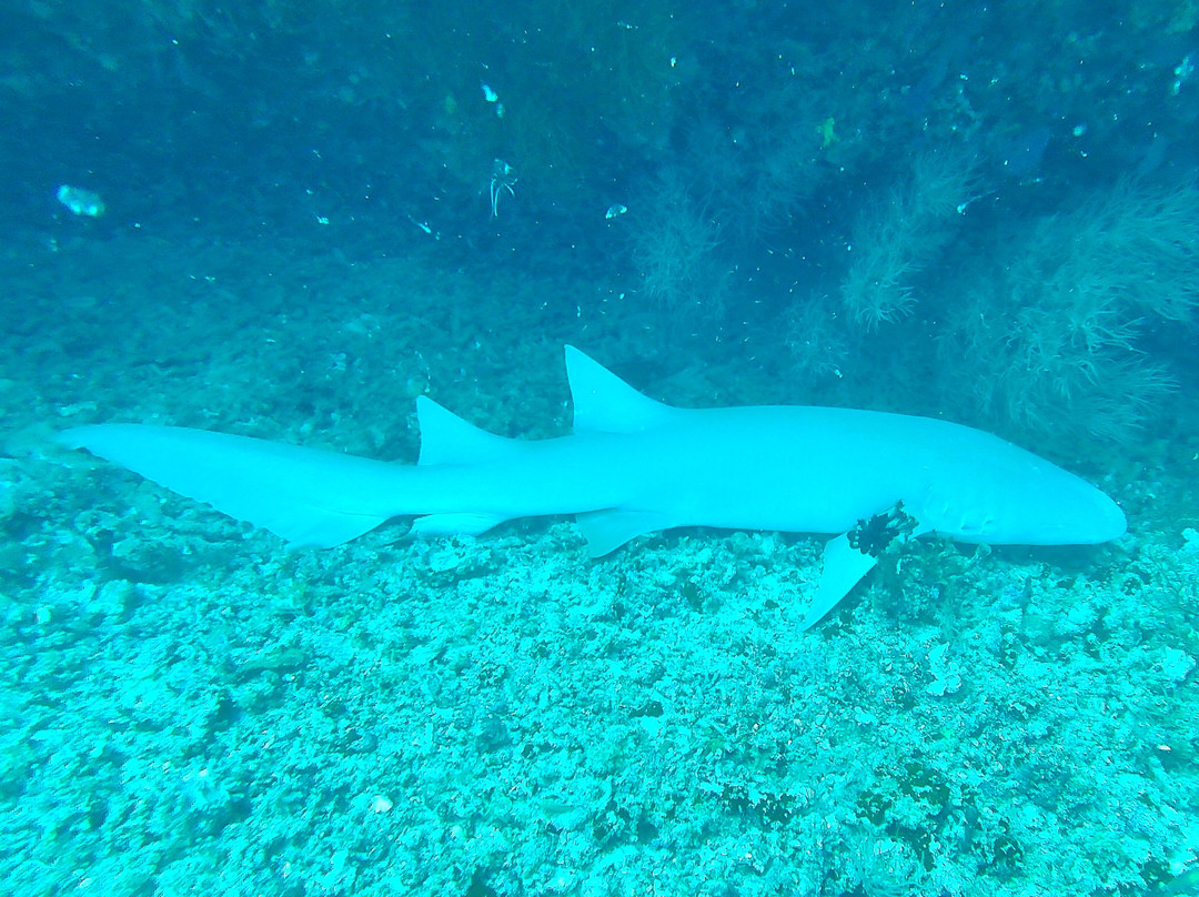 Himmafushi Scuba Adventure-Himmafushi Island必去景点
