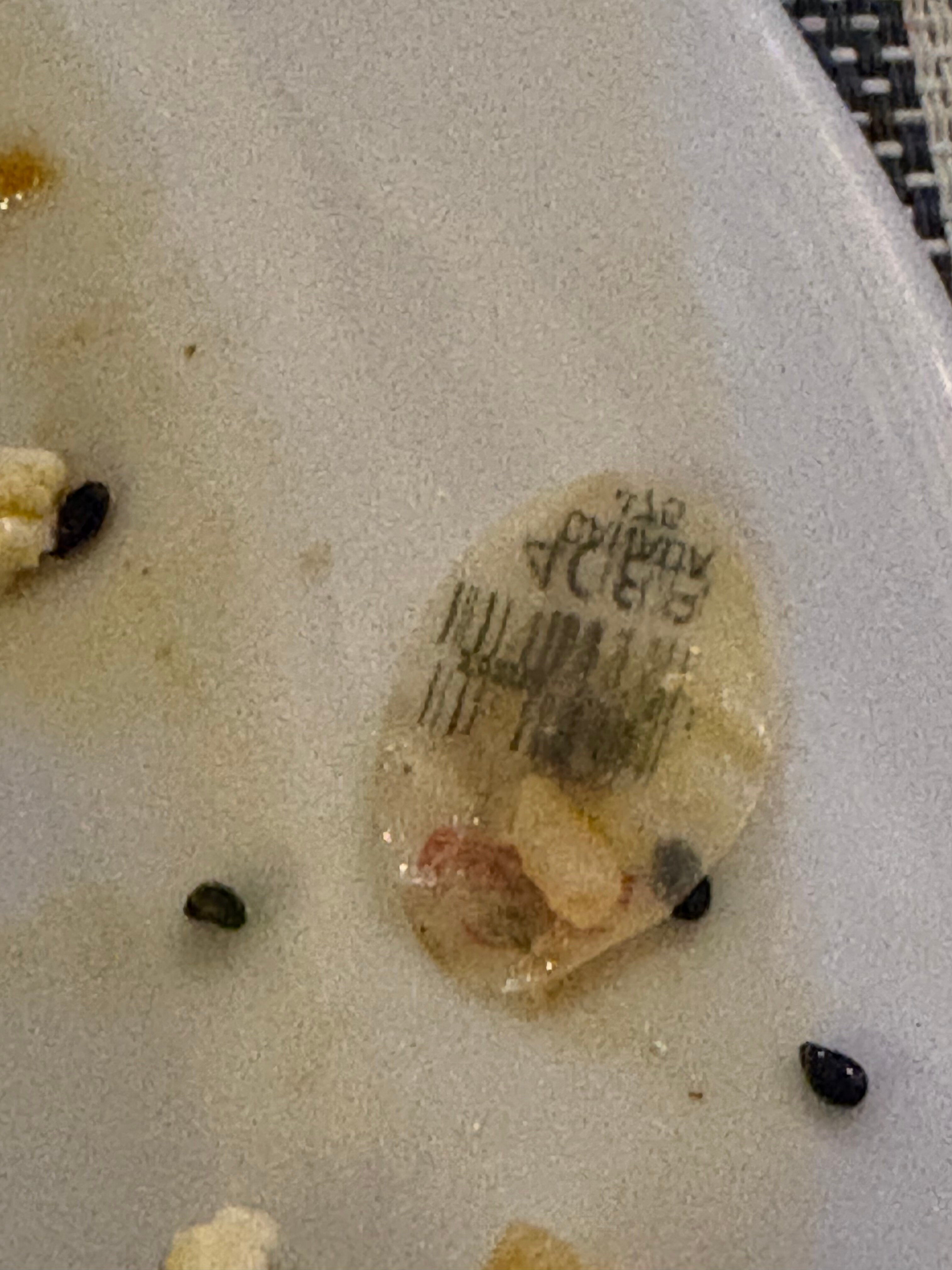 萨瓦纳酒店-官方