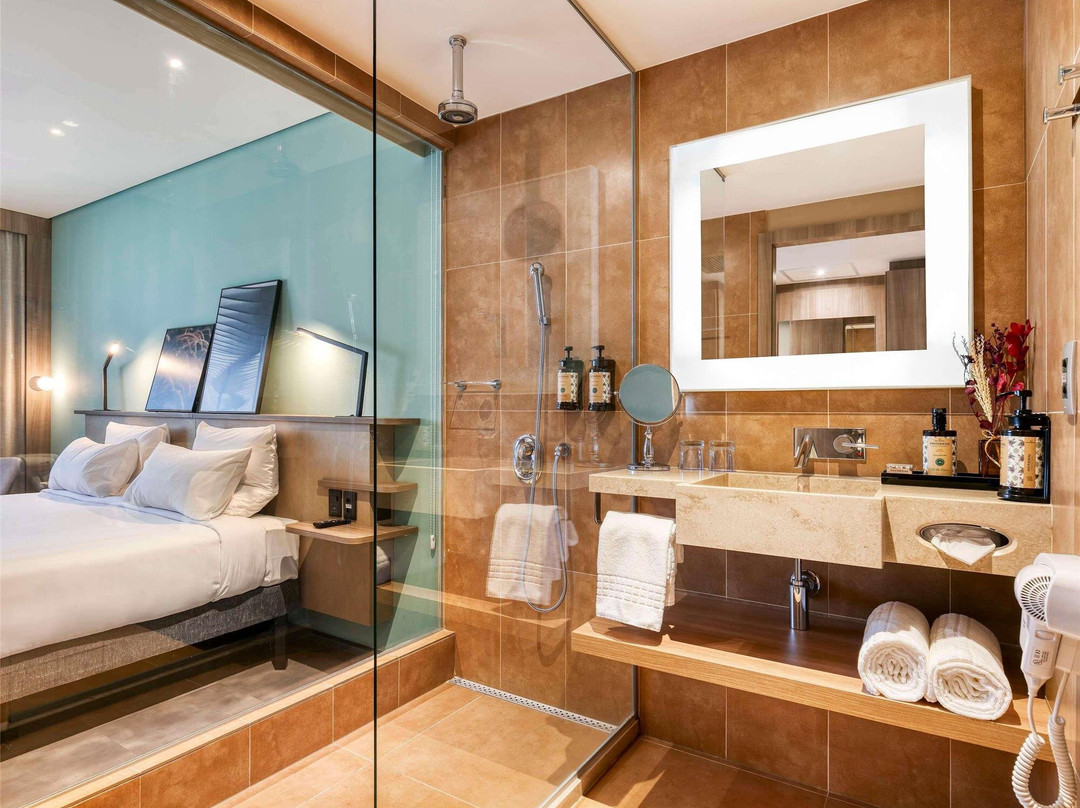 诺富特 BH 萨瓦西酒店主图