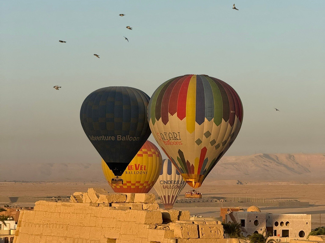 Ahmed Kenawi Licensed Tourist Driver-卢克索必去景点