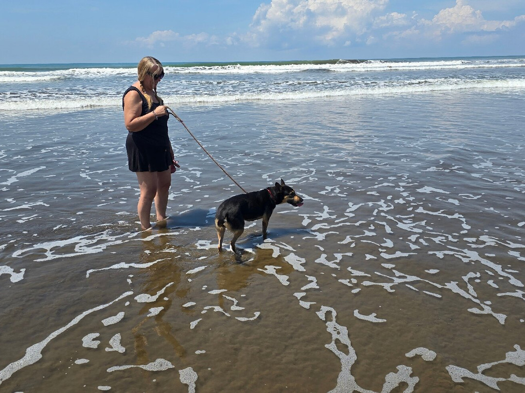 Playa Dominical-主日镇必去景点