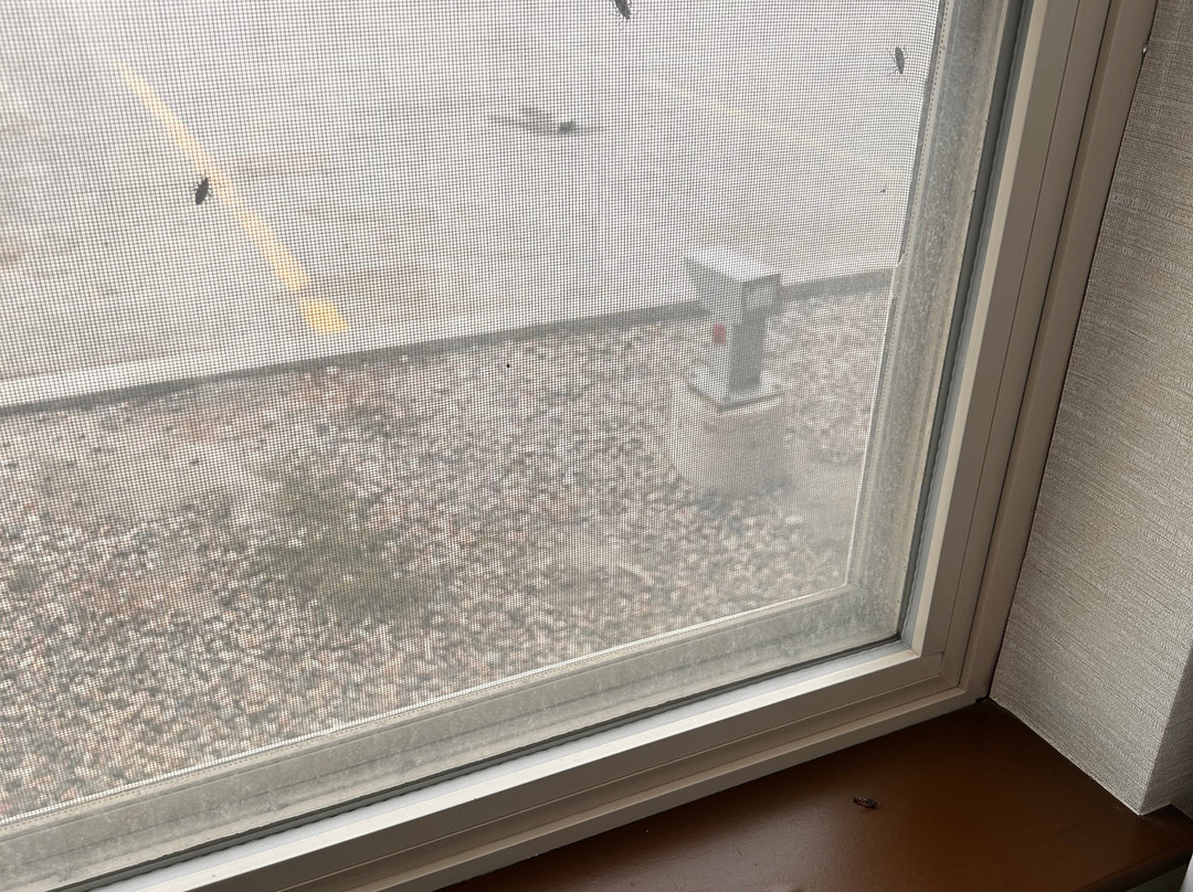 Best Western Plus Kindersley Hotel主图