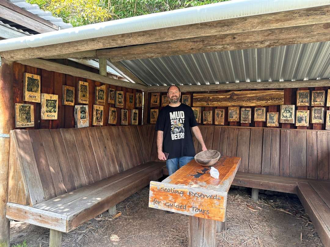 Garden Route Wolf Sanctuary-普利登堡湾必去景点