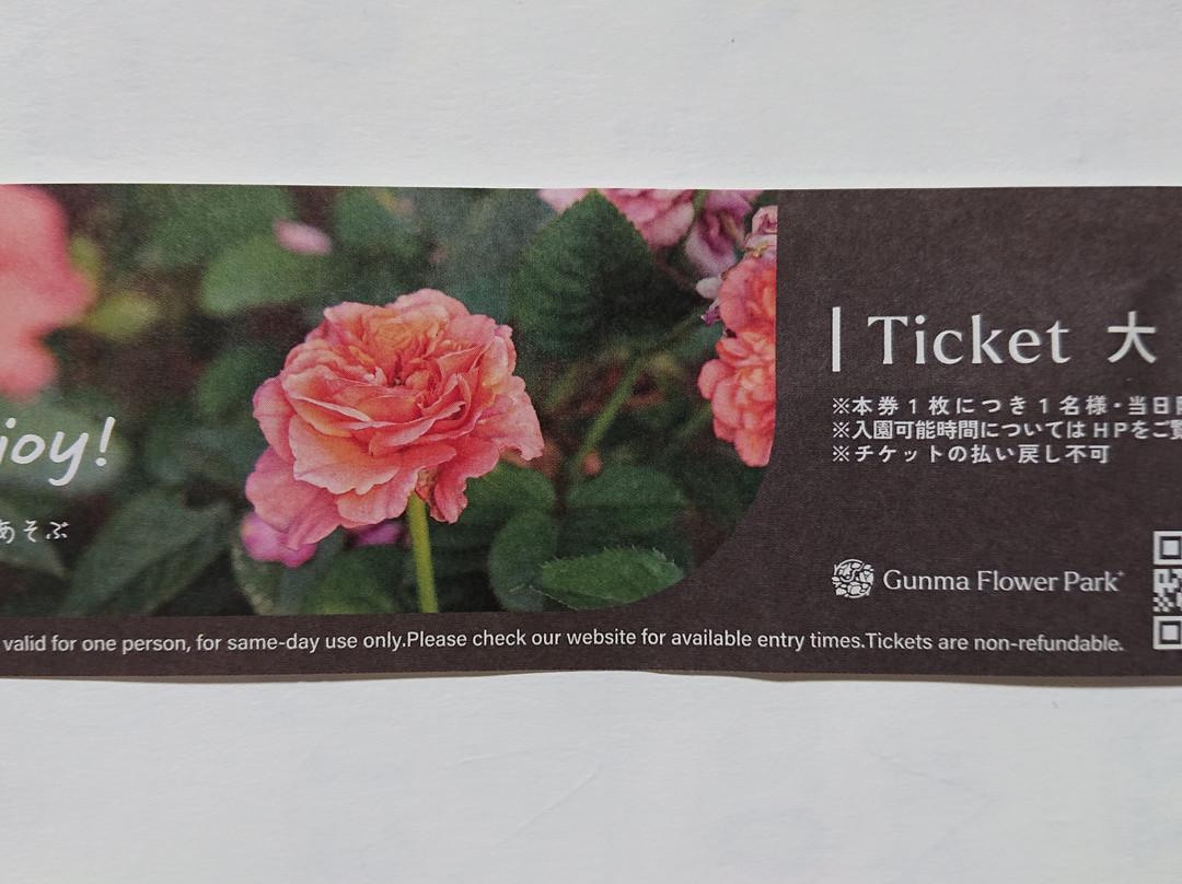 Gunma Flower Park-前桥县必去景点
