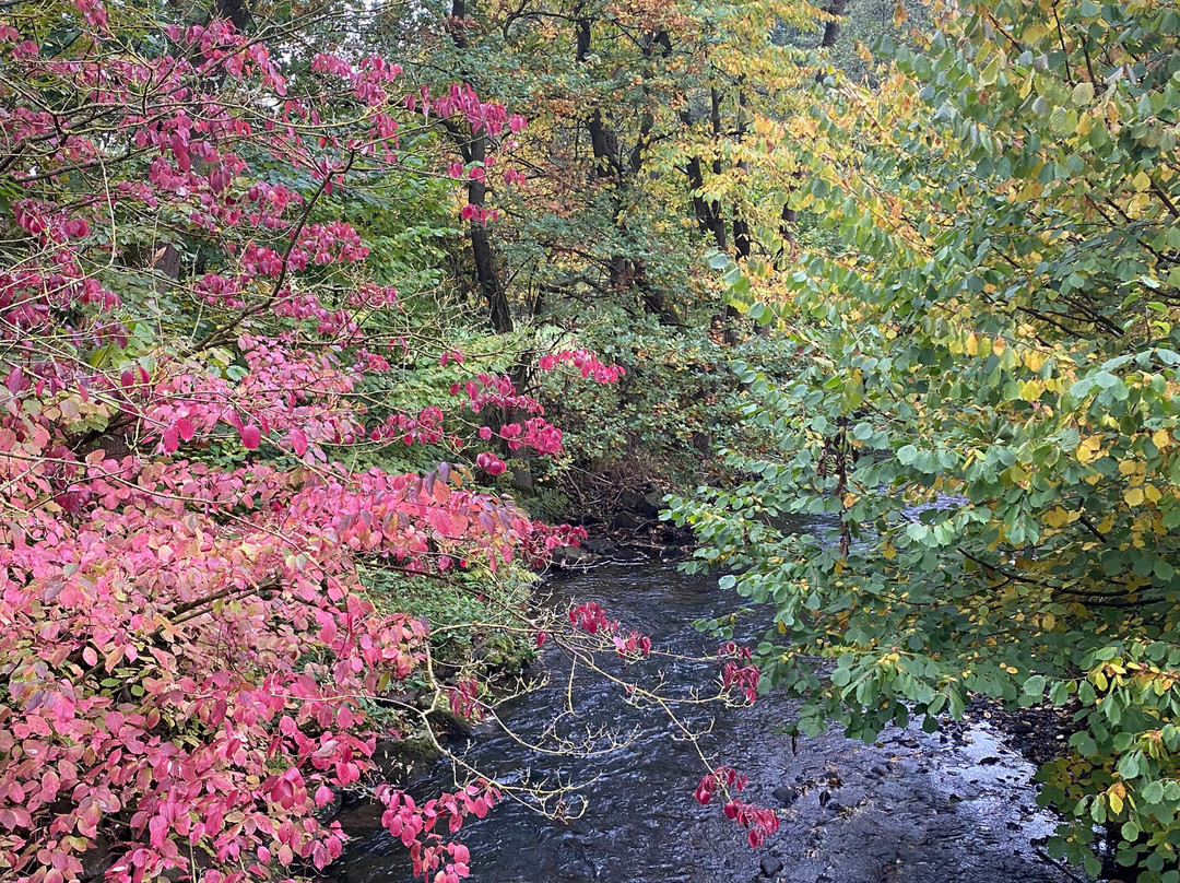 Hotel Am Steinertsee - Kassel-ost主图