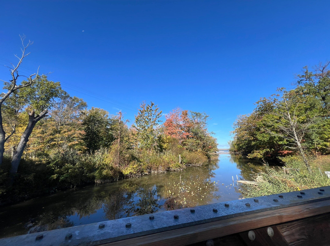 Lake Erie Canopy Tours-Geneva必去景点