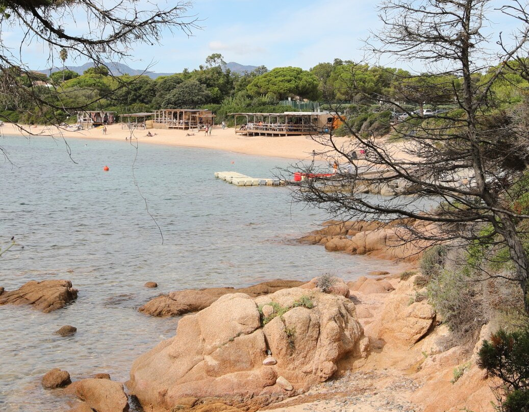 la Pinède de l'Isolella