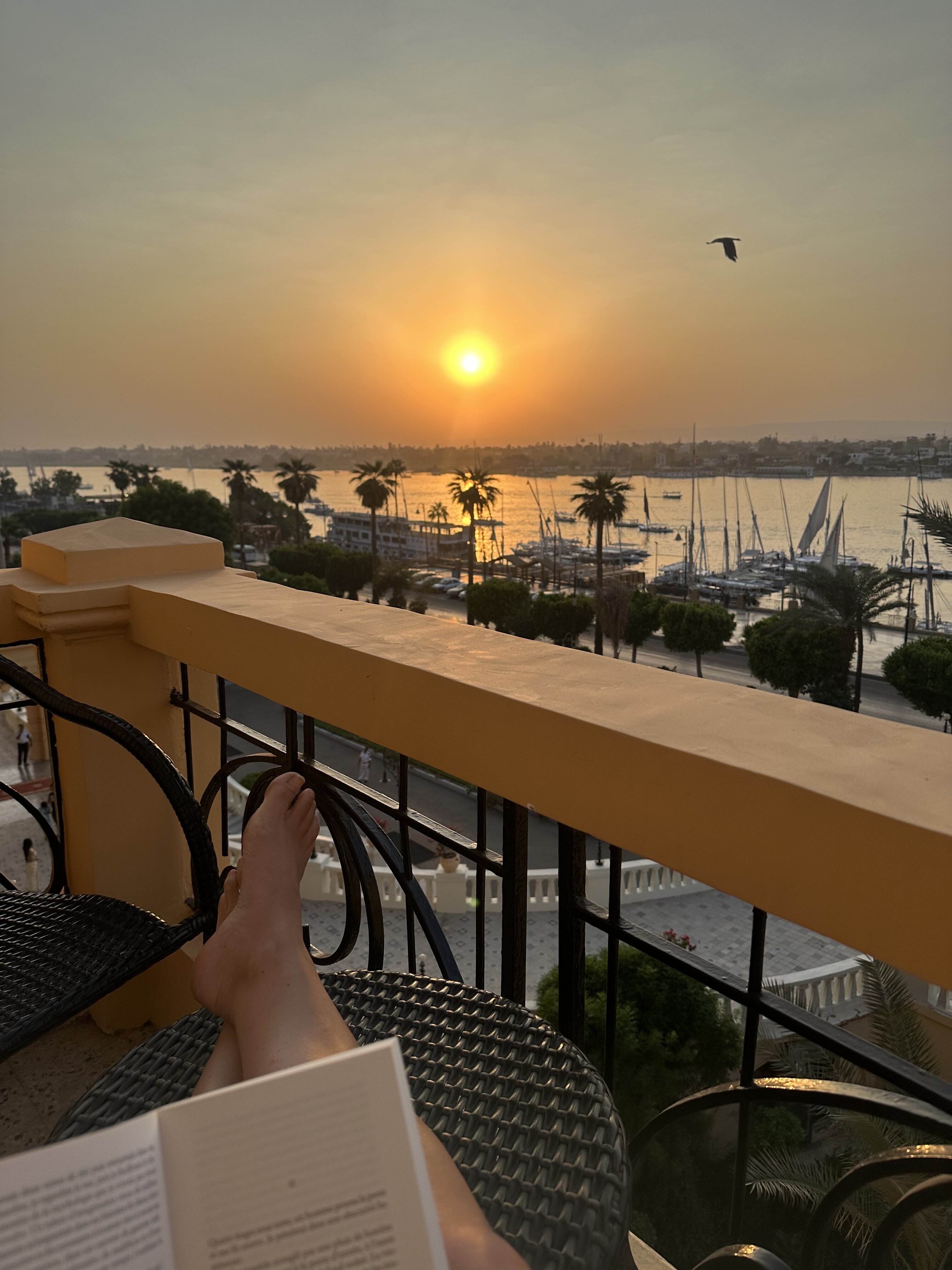 卢克索冬宫索菲特酒店-官方