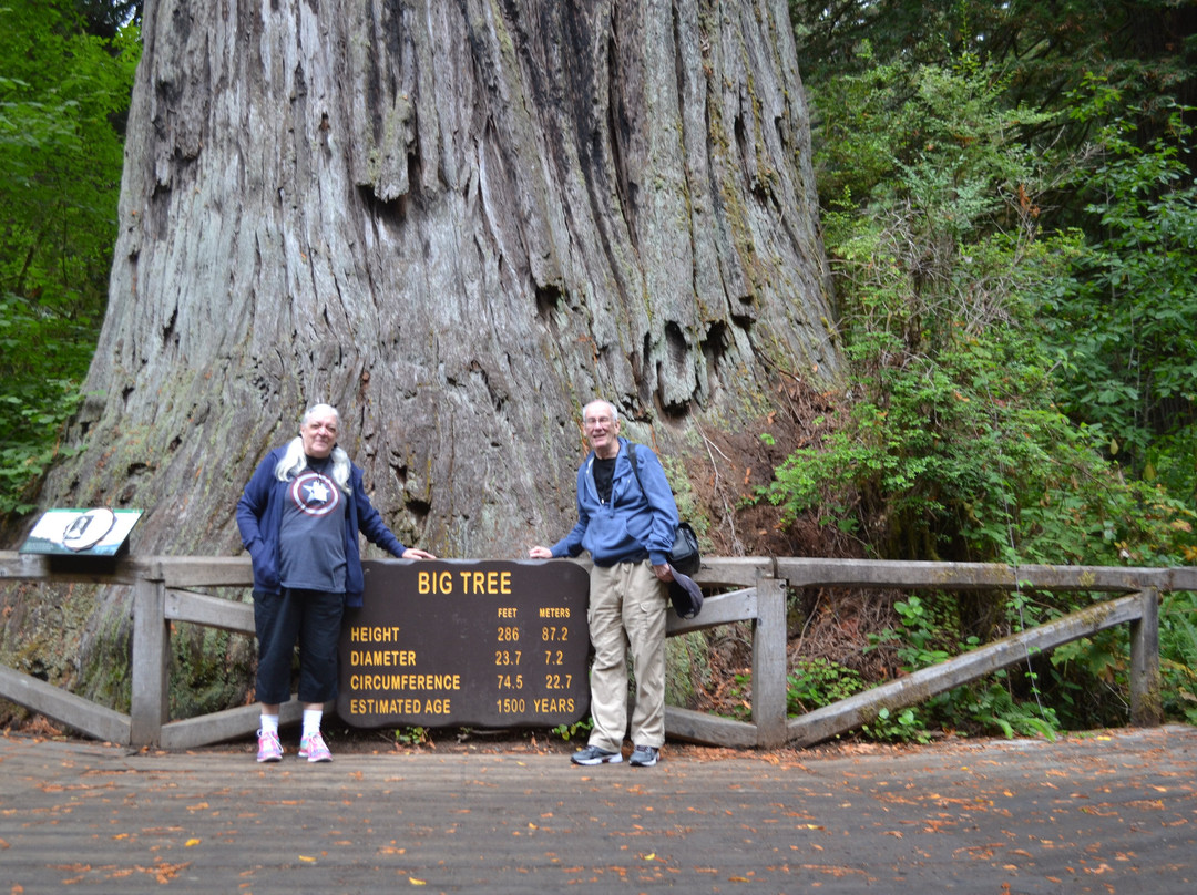 Prairie Creek - Foothill Trail Loop-Orick必去景点