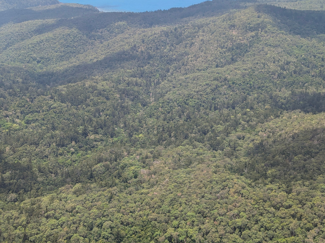 Fly Australia Charter-悉尼必去景点