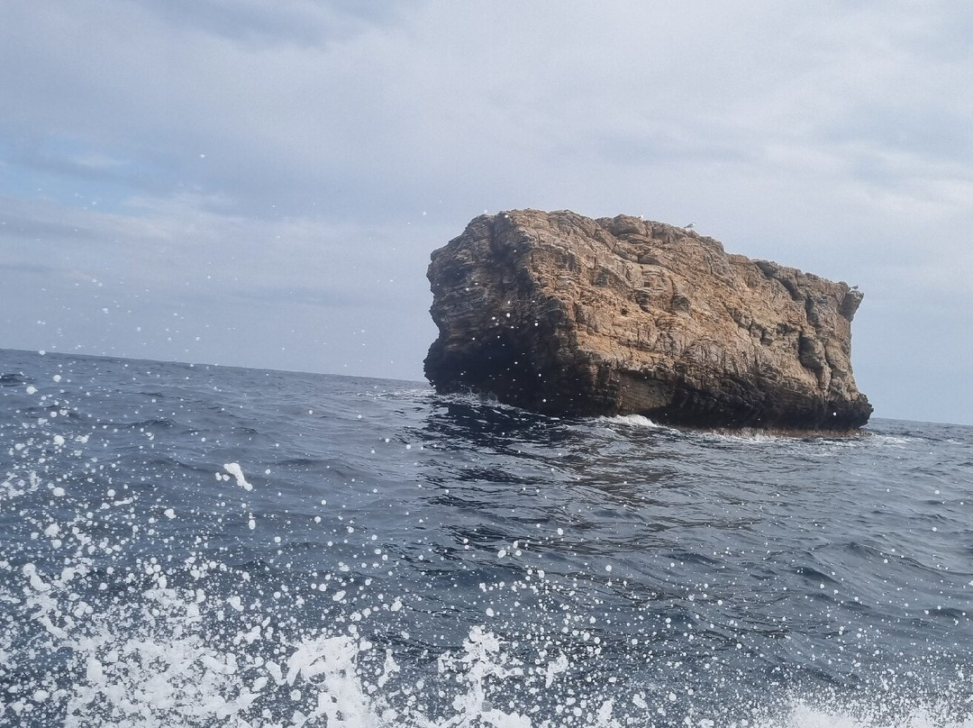 Thalassa Diving Academy-Khalkis必去景点