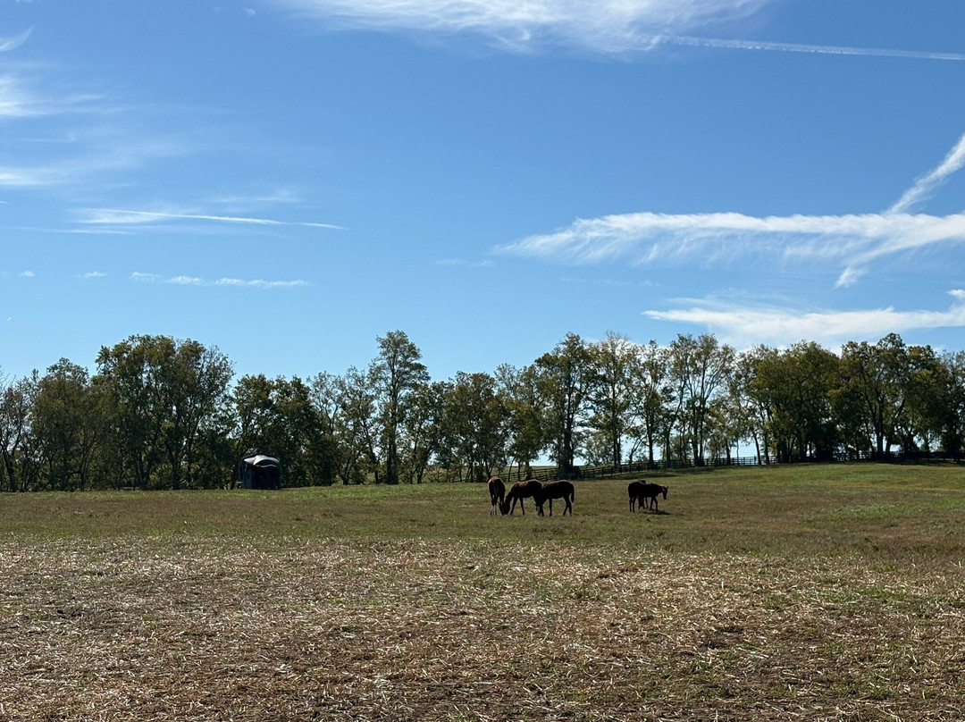 Taylor Made Farm-Nicholasville必去景点