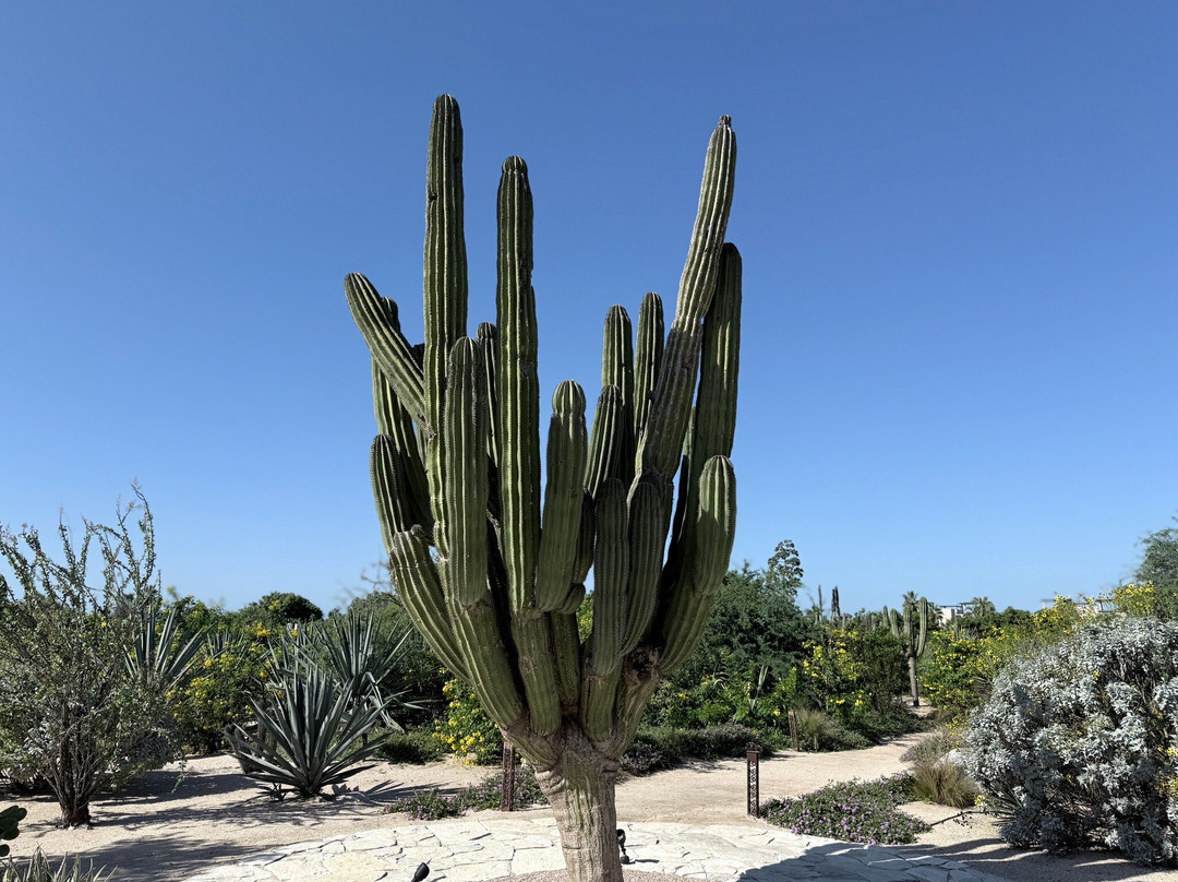 Botánica Spa At Kimpton Mas Olas-佩斯卡德罗必去景点