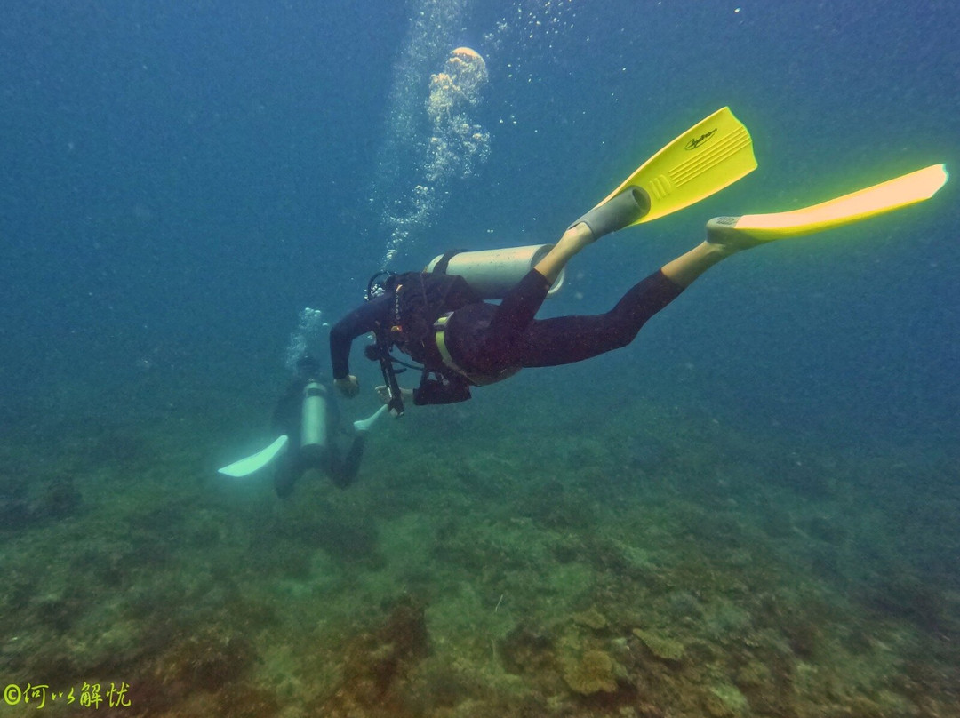 Juara Scuba Academy-刁曼岛必去景点