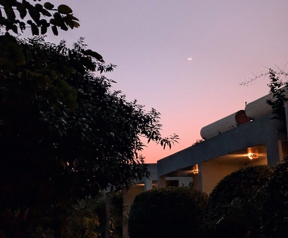 The Pugmark Resort主图