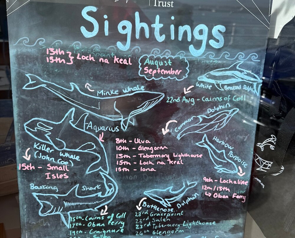 Hebridean Whale & Dolphin Trust-Tobermory必去景点