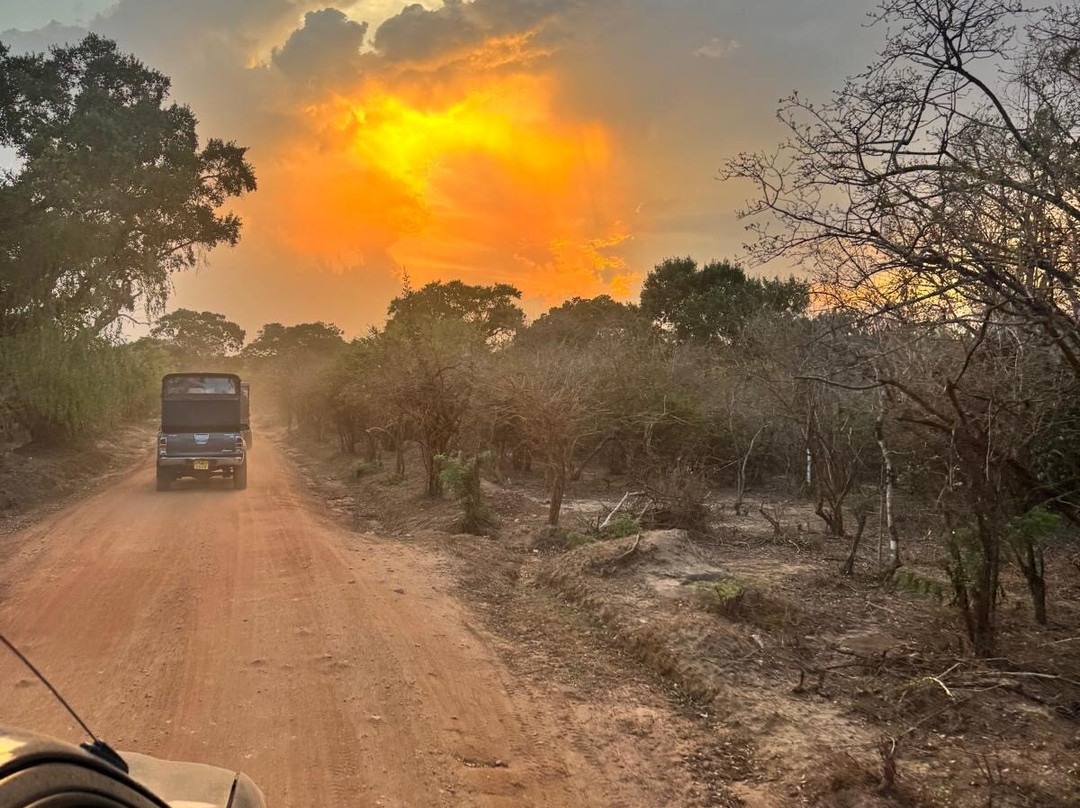 Pearl Of Sri Lanka Travel-科斯戈德必去景点