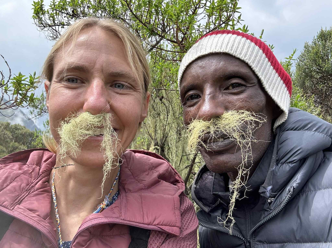 David Simien Tours-Debark必去景点