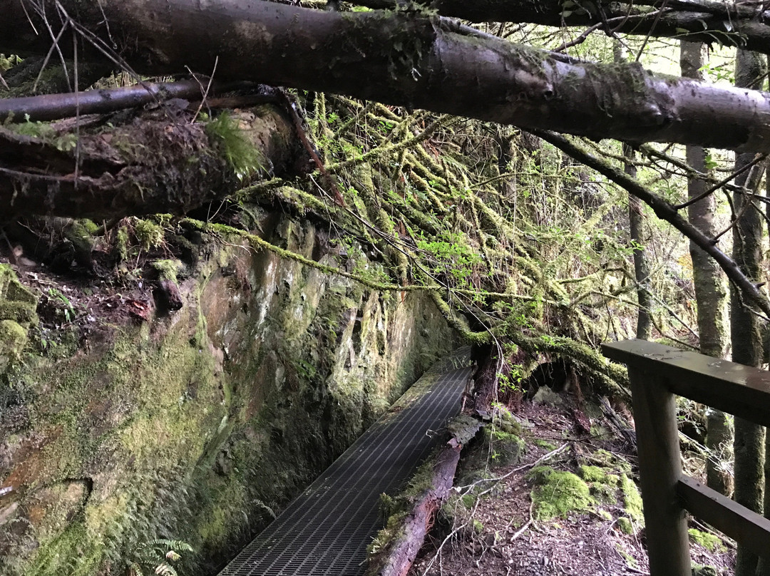 Philosopher Falls-Waratah必去景点