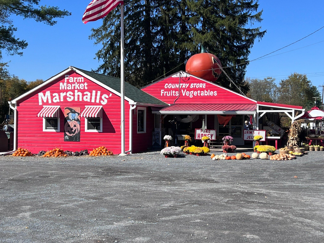 Marshall's Farm Market-Delaware必去景点