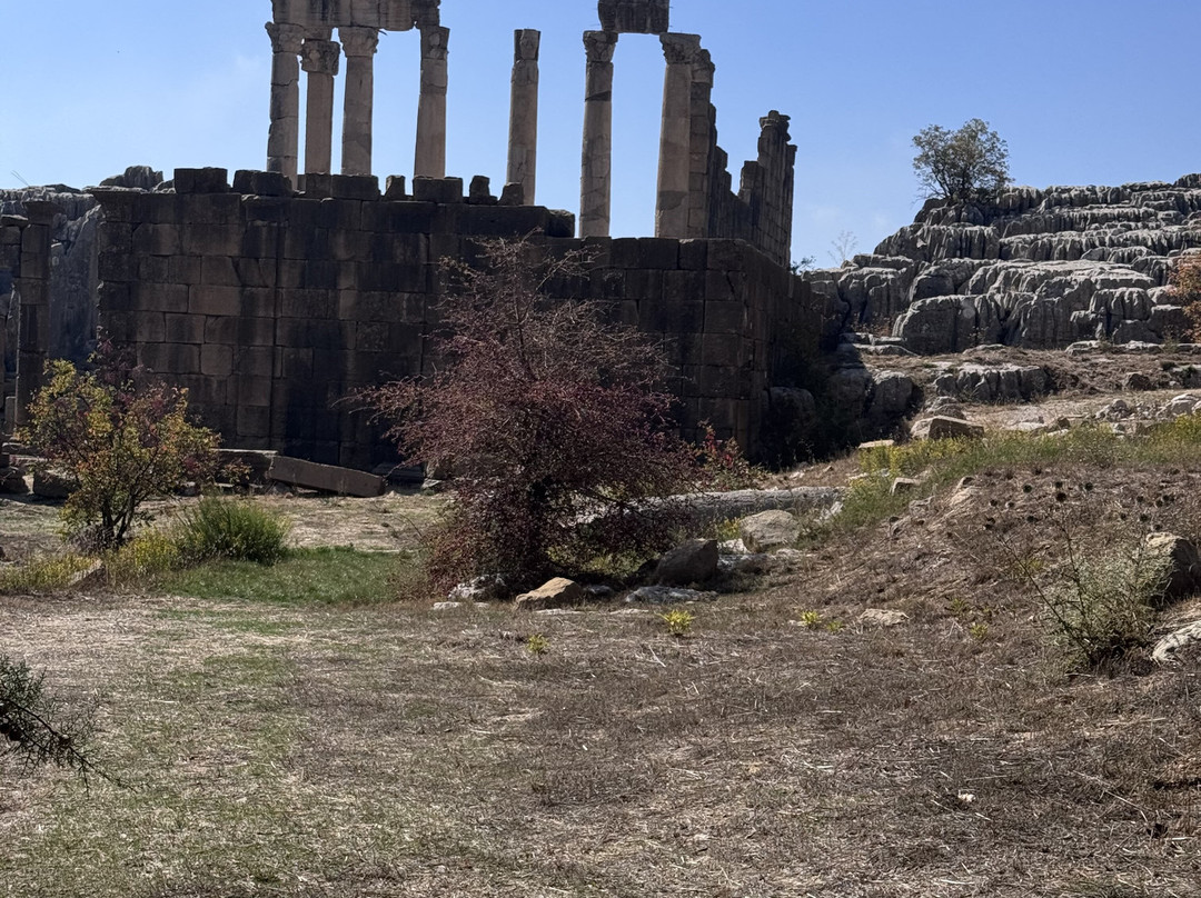 Damask Rose Lebanese Guest House主图