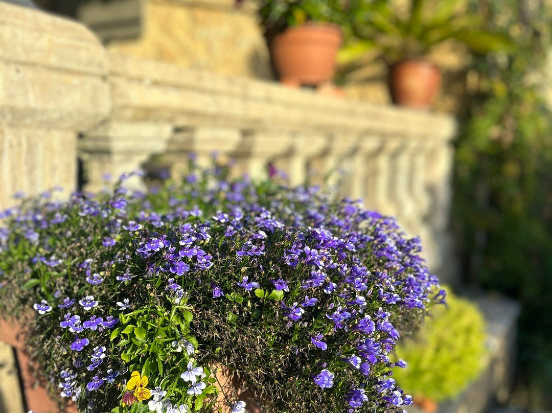 La Belle Demeure主图