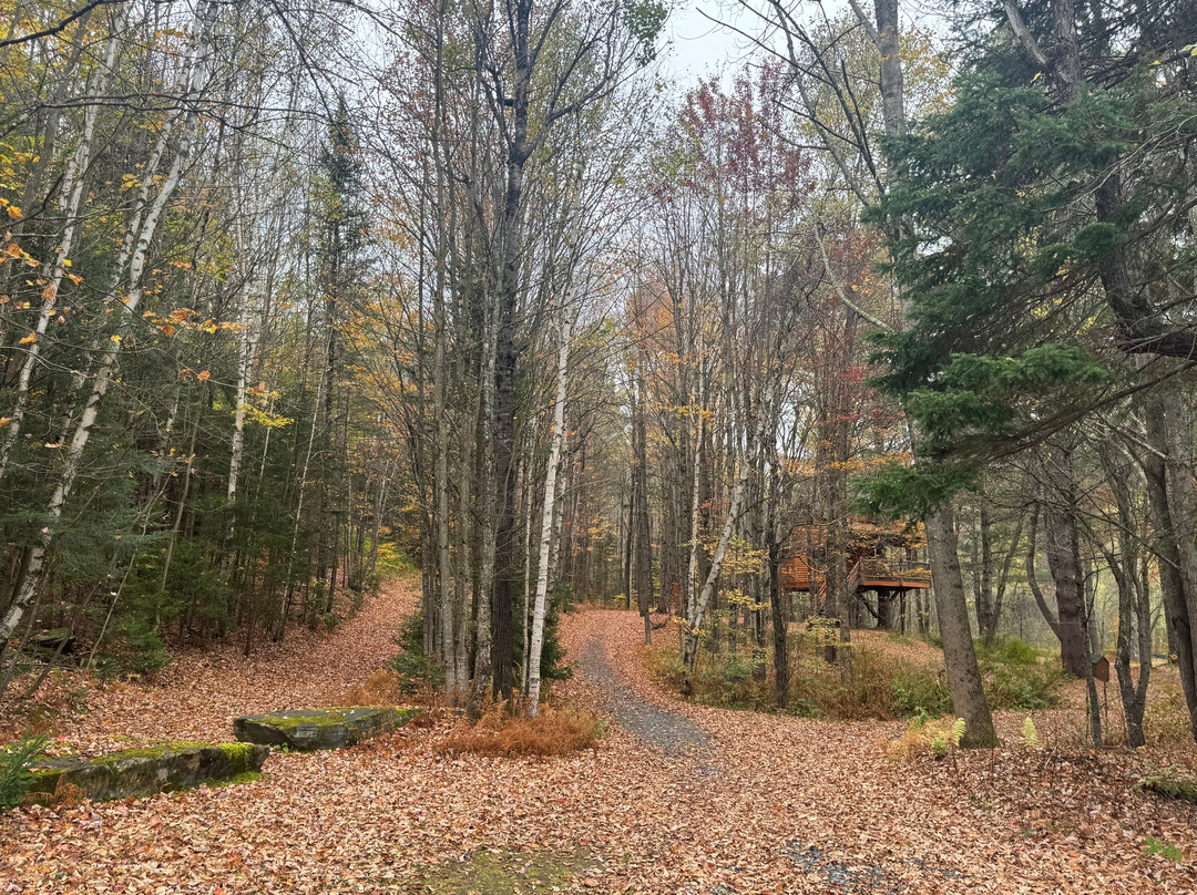 Moose Meadow Lodge & Treehouse主图