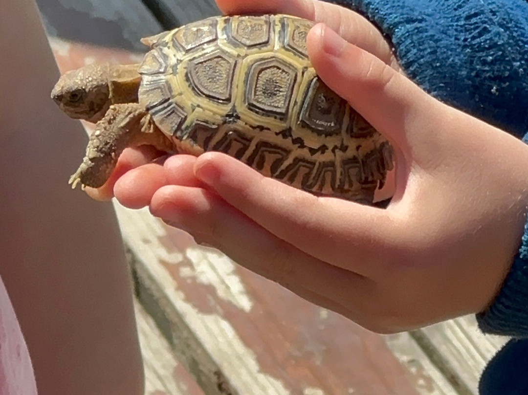 Le Bonheur Reptiles & Adventures-Simondium必去景点