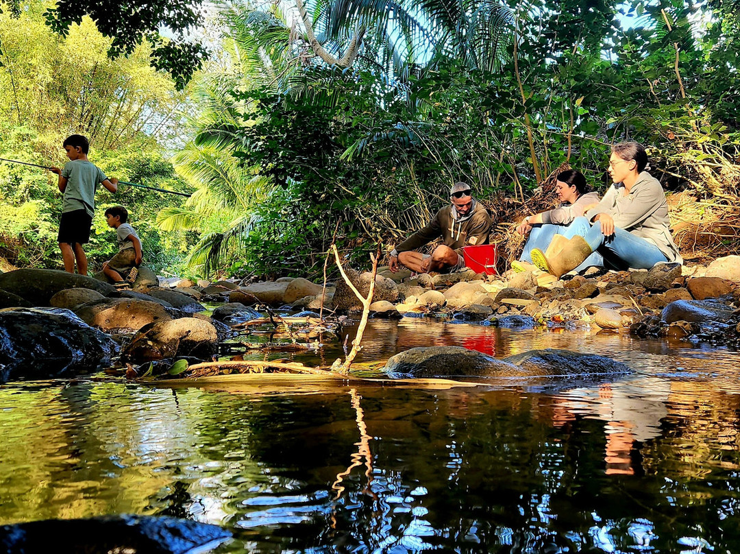 Terganic Farmstay-Bambous Virieux必去景点