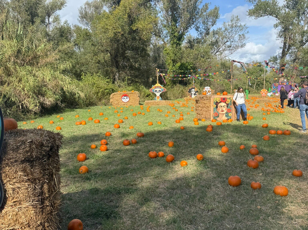 Oasi Vivinatura Lagosele-Eboli必去景点