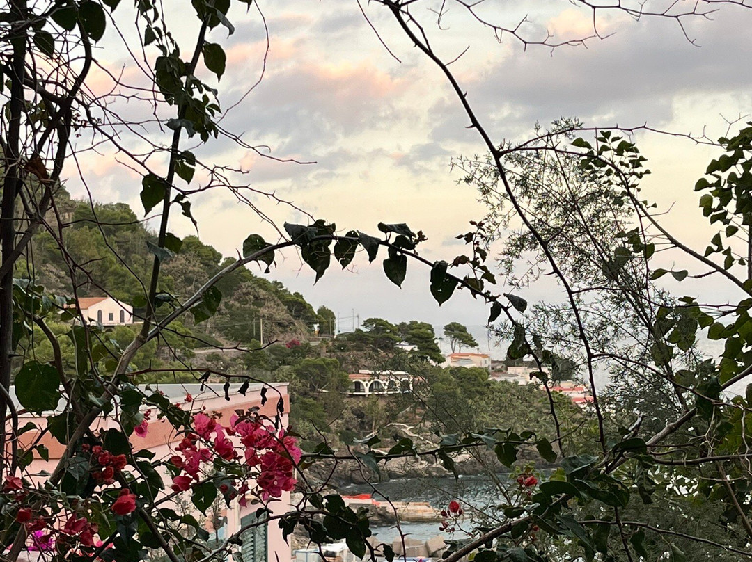 索尼内尔布鲁酒店主图