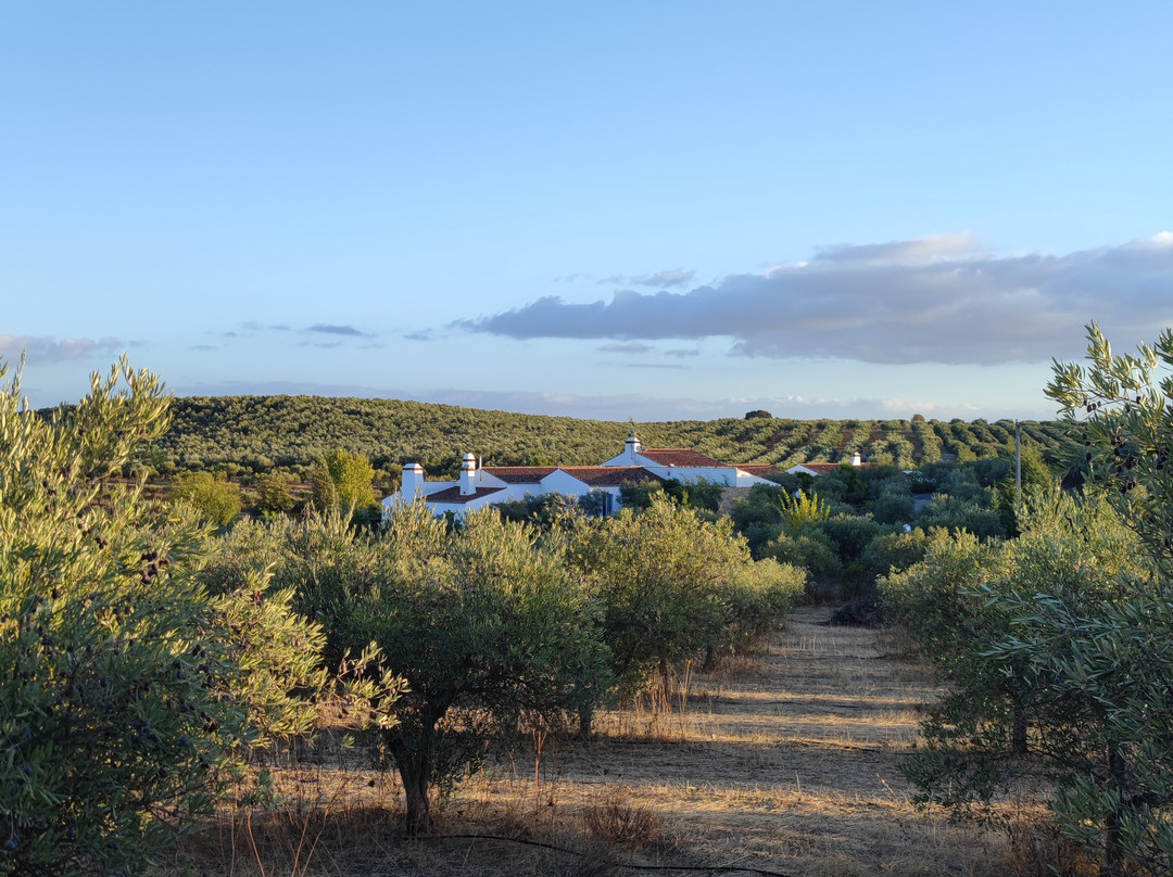 Monte da Estrela Country House & Spa主图